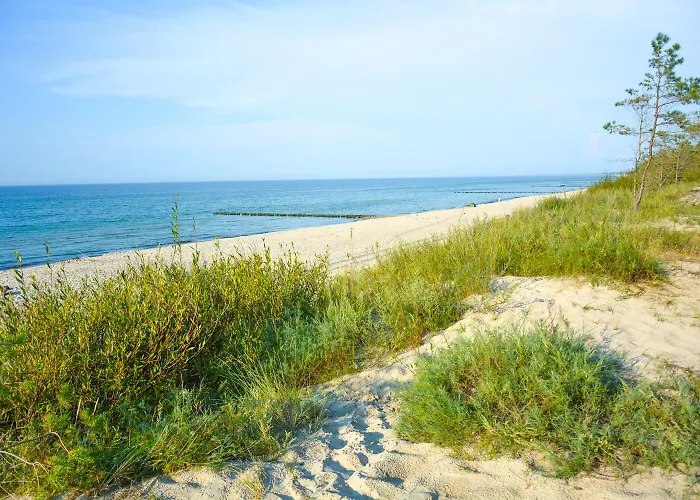 Osrodek Wypoczynkowy Ida